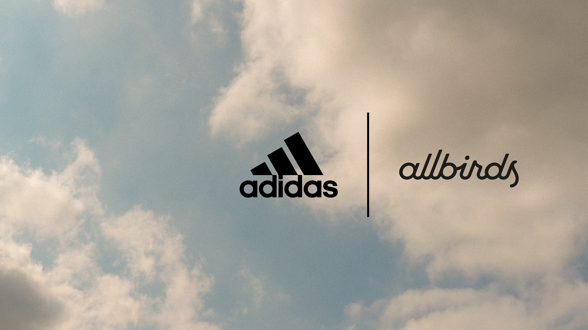 adidas x Allbirds (Foto)
