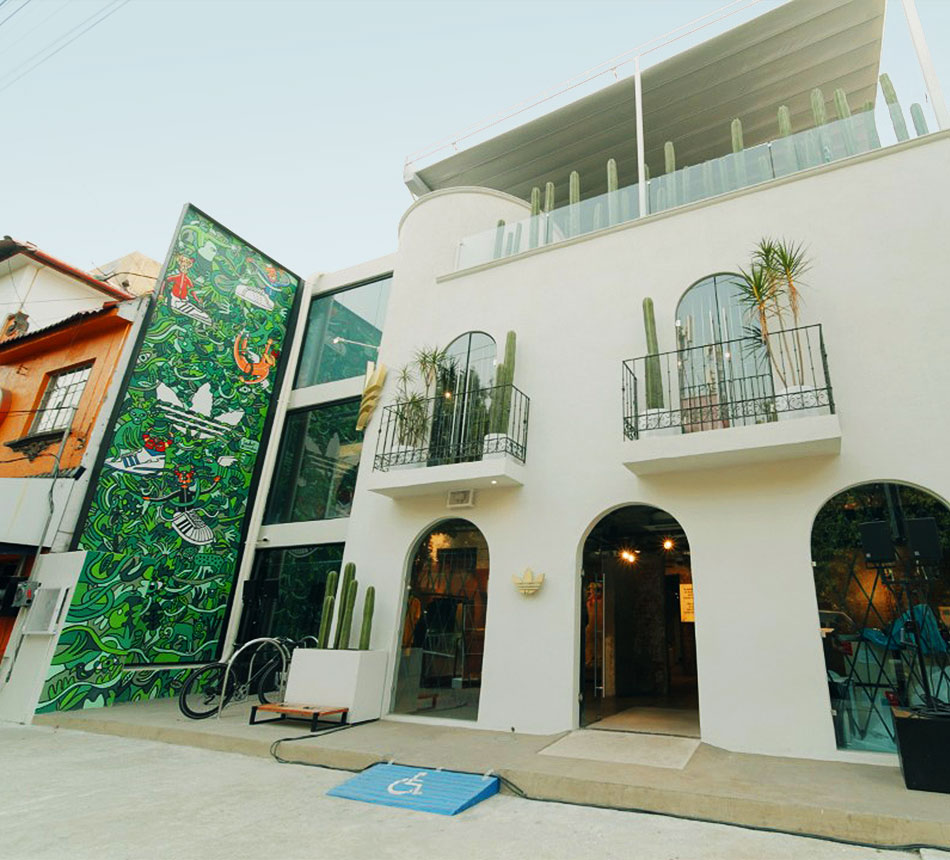 An adidas store from the outside, with a picture of a jungle on the wall (Photo)